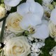 Grand cœur d'orchidées blanc