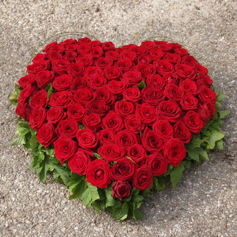 Descubra 100 kuva coeur de rose rouge - Thptnganamst.edu.vn