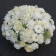 Coussin enterrement de fleurs blanches